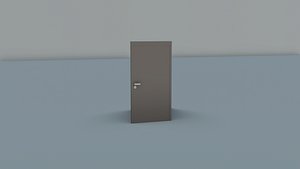 Modern Door