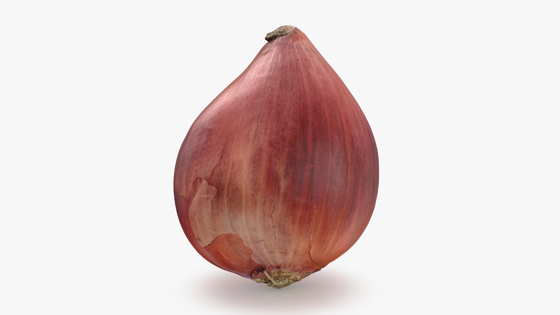 3D Red Onion 02 model https://p.turbosquid.com/ts-thumb/2J/qPec3W/8c/redonion_2_b0000/jpg/1705613912/1920x1080/fit_q87/8a72a7be9af2144f2d76a3c989600d22fc4f67c3/redonion_2_b0000.jpg