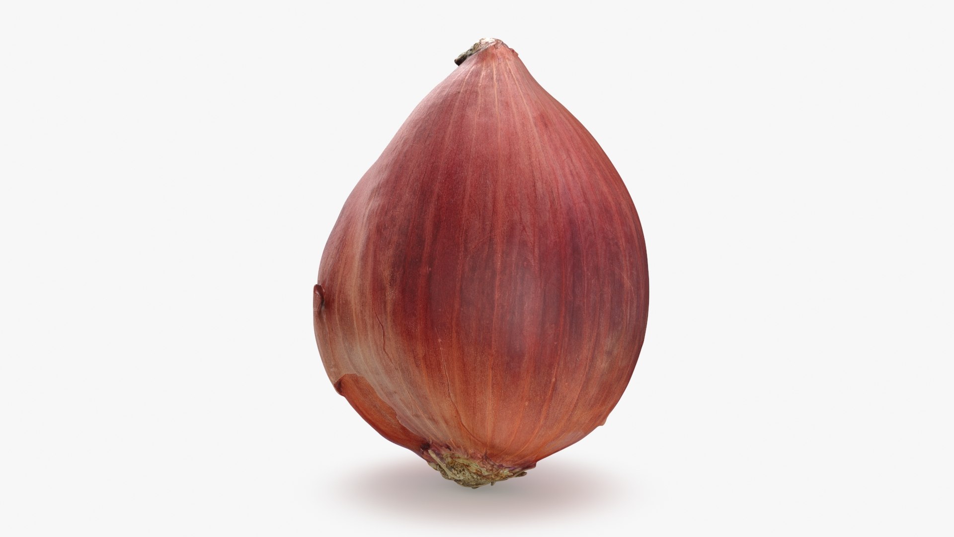 3D Red Onion 02 model https://p.turbosquid.com/ts-thumb/2J/qPec3W/Rt/redonion_2_b0004/jpg/1705613914/1920x1080/fit_q87/30a691d6a5d9372c88771a9da12f95b37487ad73/redonion_2_b0004.jpg