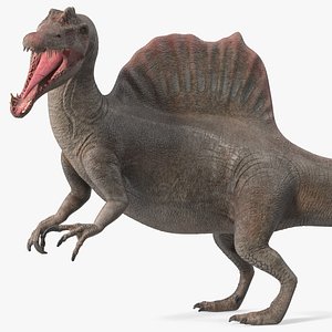 3D Spinosaurus Roaring Pose model