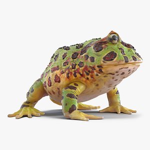 pacman frog rigged 3d model
