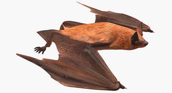 Modelo 3D de Flying Bat 2 Modelo 3D - TurboSquid 1085889