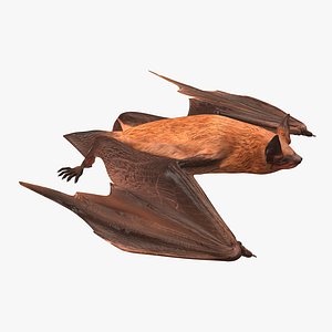 Flying Bat 2 3D Model
