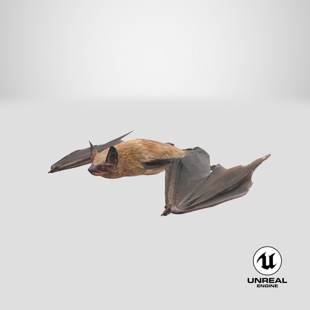 Flying Bat 2 3d 3ds