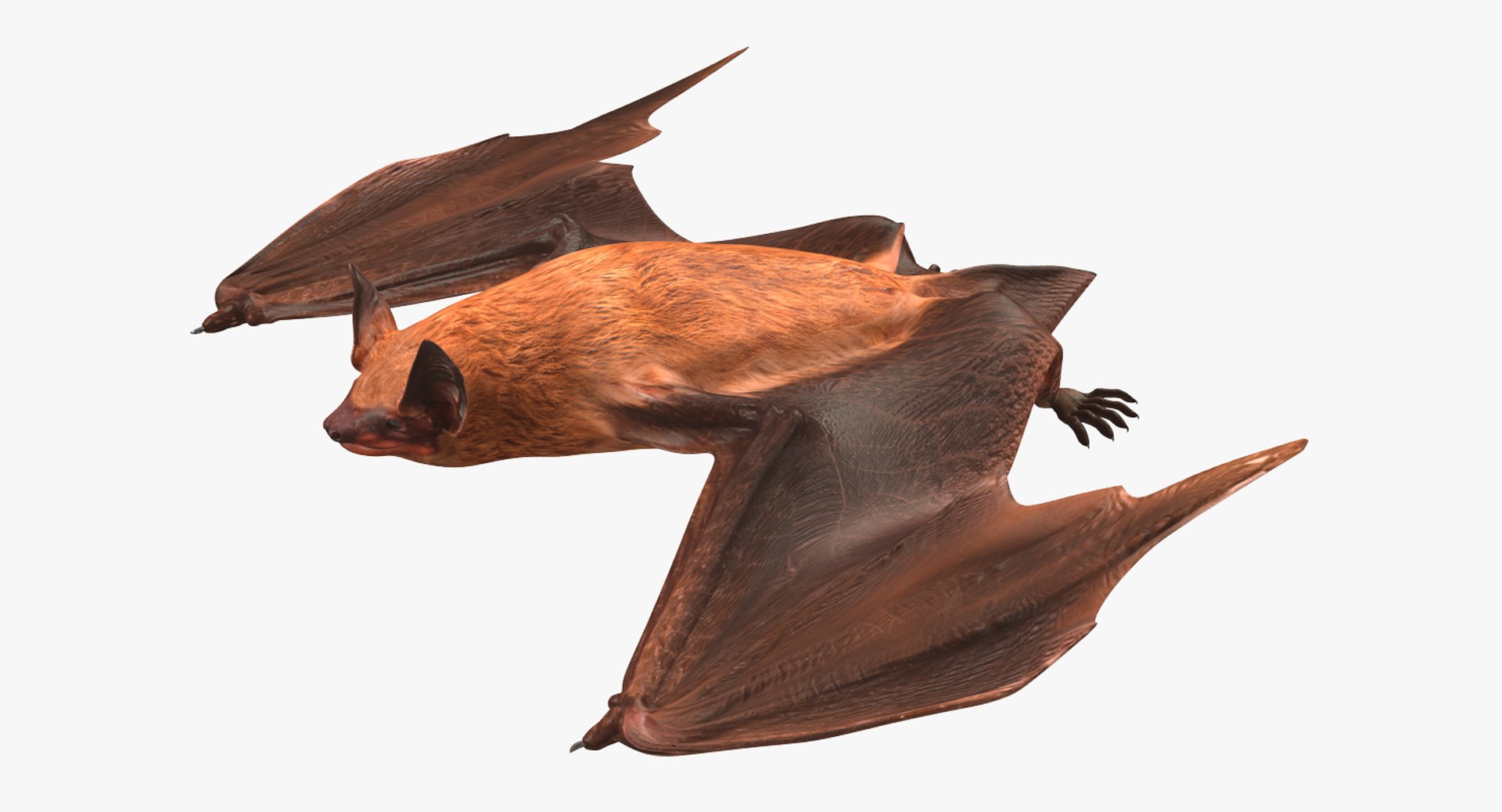 flying bat 2 3d 3ds