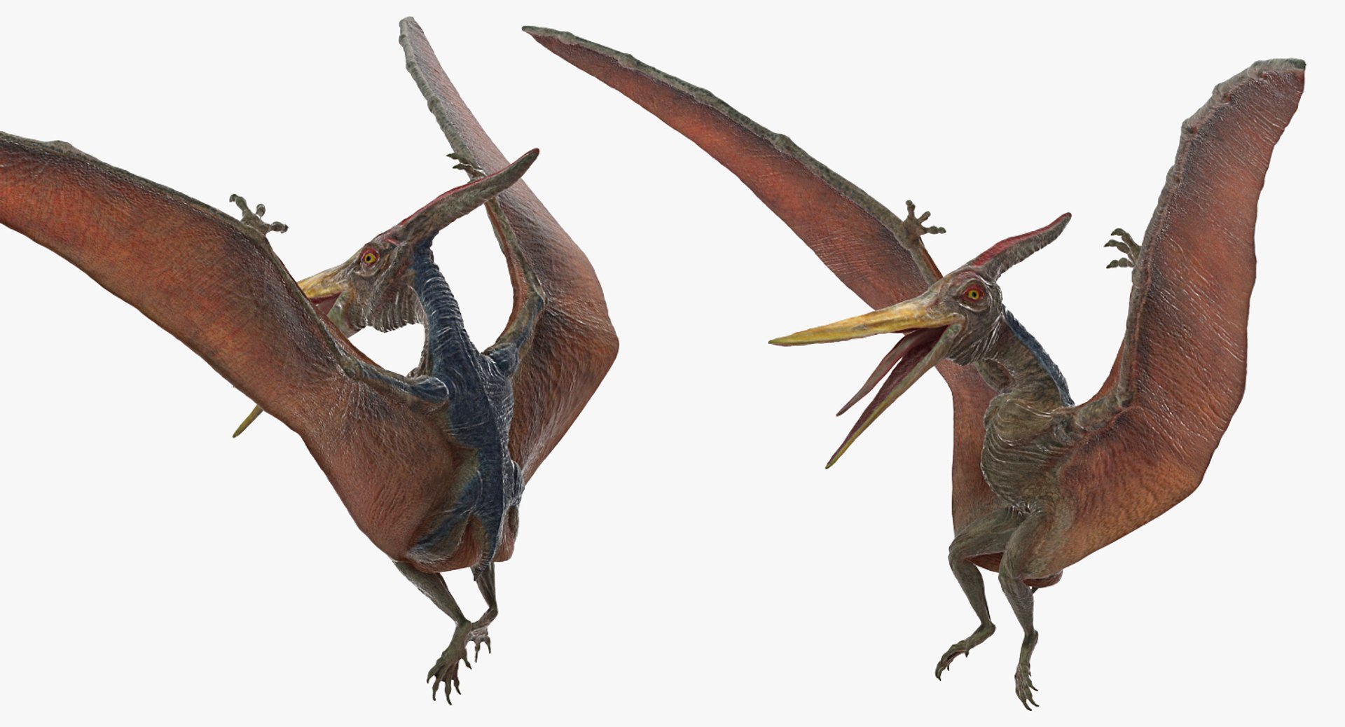 Rigged Carnivorous Dinosaurs Collection for Cinema 4D 3D https://p.turbosquid.com/ts-thumb/2K/WwiOua/cB/rigged_carnivorous_dinosaurs_collection_037/jpg/1715063630/1920x1080/fit_q87/c1ab9c018a1261c710e0960709ad3c0600cd5d07/rigged_carnivorous_dinosaurs_collection_037.jpg