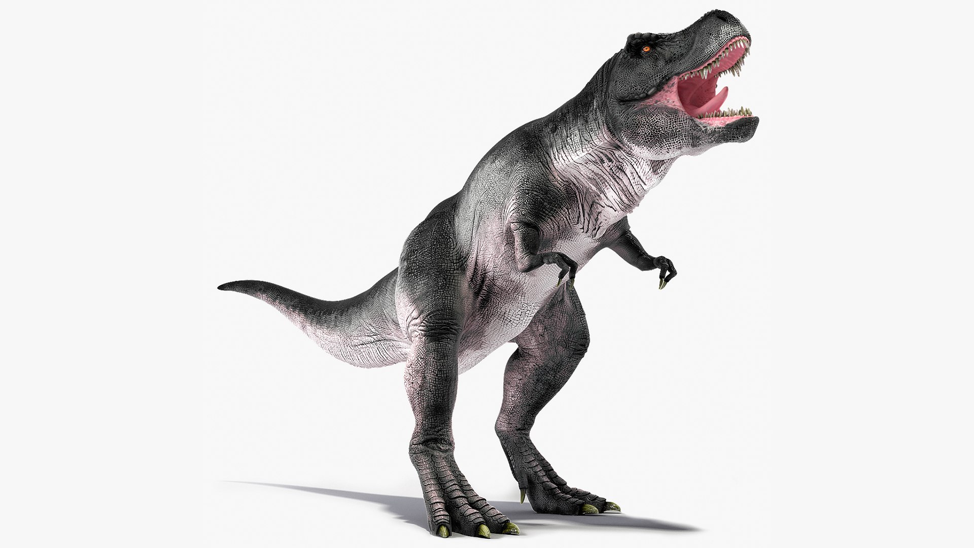 Rigged Carnivorous Dinosaurs Collection for Cinema 4D 3D https://p.turbosquid.com/ts-thumb/2K/WwiOua/di/riggedcarnivorousdinosaurscollectionmb3dmodel011/jpg/1715047465/1920x1080/fit_q87/04ab022daaaa6a1cc1f6a34bbb78218cc3546e40/riggedcarnivorousdinosaurscollectionmb3dmodel011.jpg