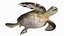 Realistic Sea Turtle Rigged for Maya