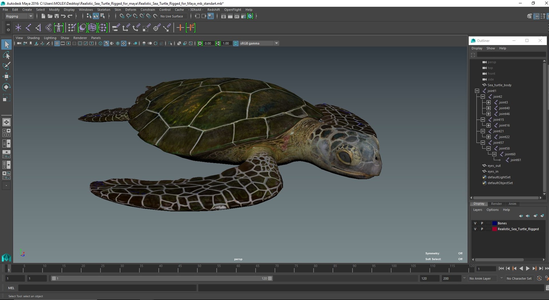 Realistic Sea Turtle Rigged for Maya model https://p.turbosquid.com/ts-thumb/2K/aUsuSo/8K/realisticseaturtleriggedformayavray3dmodel045/jpg/1715209826/1920x1080/fit_q87/b4296c1da3c0fe3fc4d3839cb449d2ed6848d53a/realisticseaturtleriggedformayavray3dmodel045.jpg