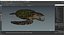 Realistic Sea Turtle Rigged for Maya