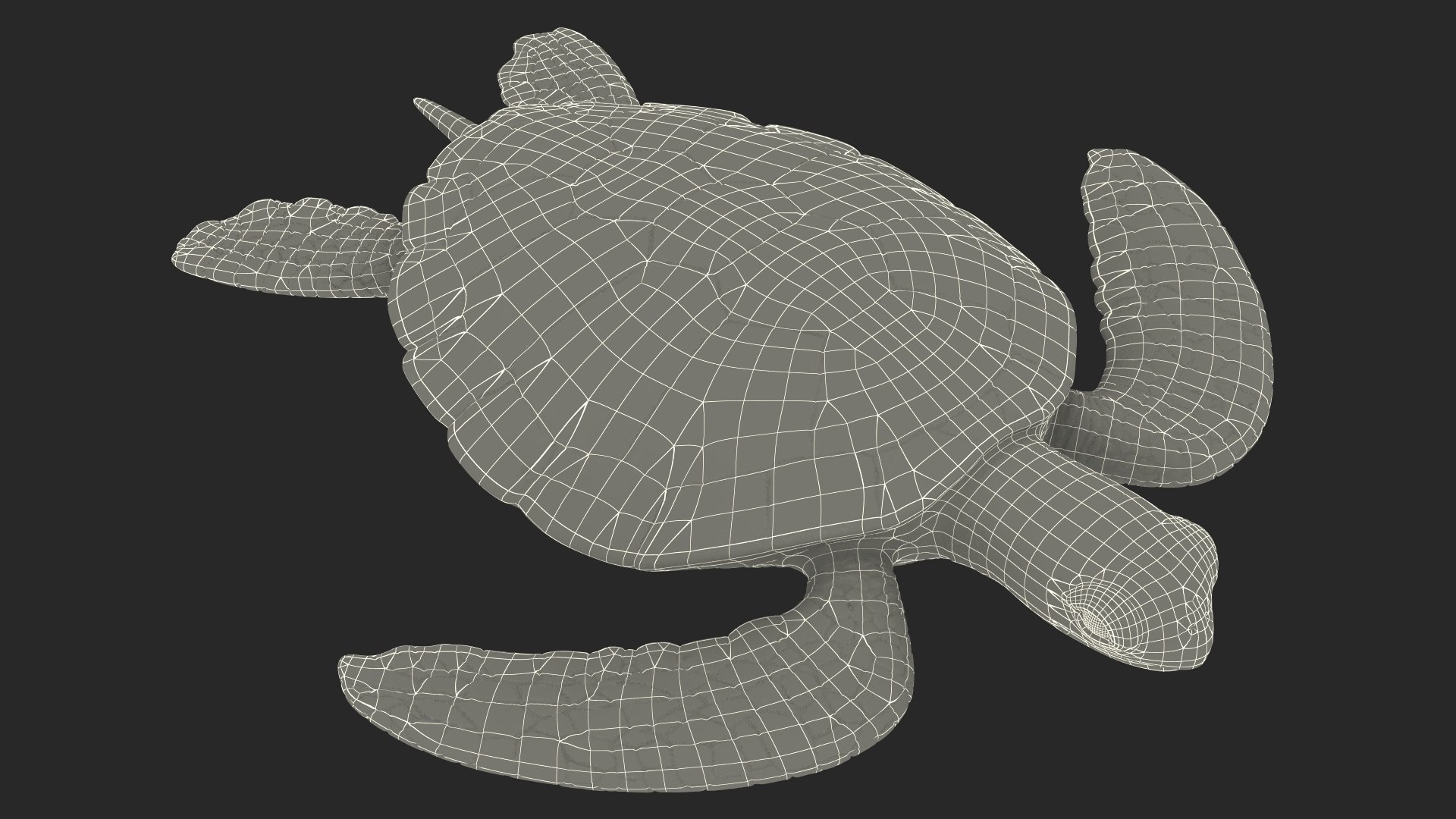 Realistic Sea Turtle Rigged for Maya model https://p.turbosquid.com/ts-thumb/2K/aUsuSo/A7/realisticseaturtleriggedformayavray3dmodel027/jpg/1715209784/1920x1080/fit_q87/b69de413ed8e9b25dca35c164f8e128a37e4f3ba/realisticseaturtleriggedformayavray3dmodel027.jpg