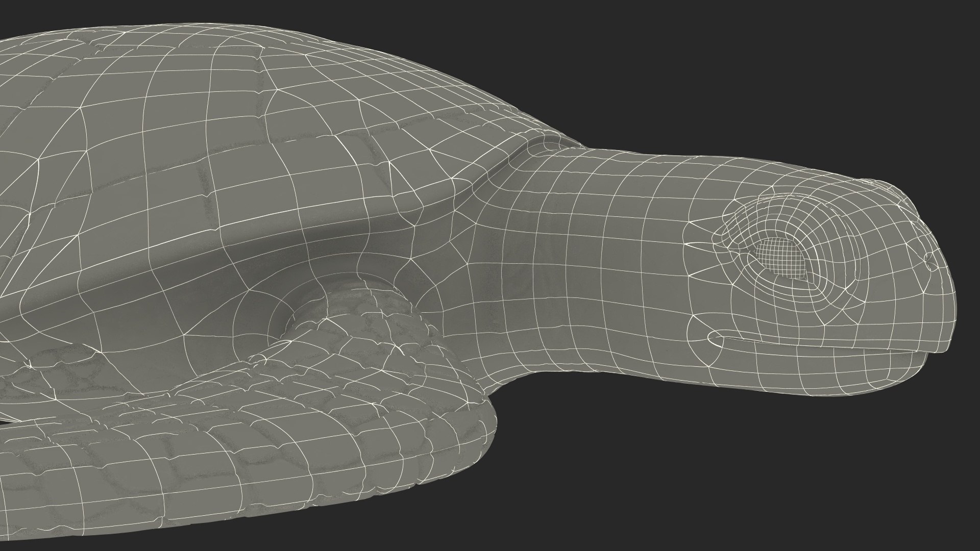 Realistic Sea Turtle Rigged for Maya model https://p.turbosquid.com/ts-thumb/2K/aUsuSo/AY/realisticseaturtleriggedformayavray3dmodel032/jpg/1715209809/1920x1080/fit_q87/079f883ec46941f475ff2e93390bcd1d497dbf75/realisticseaturtleriggedformayavray3dmodel032.jpg