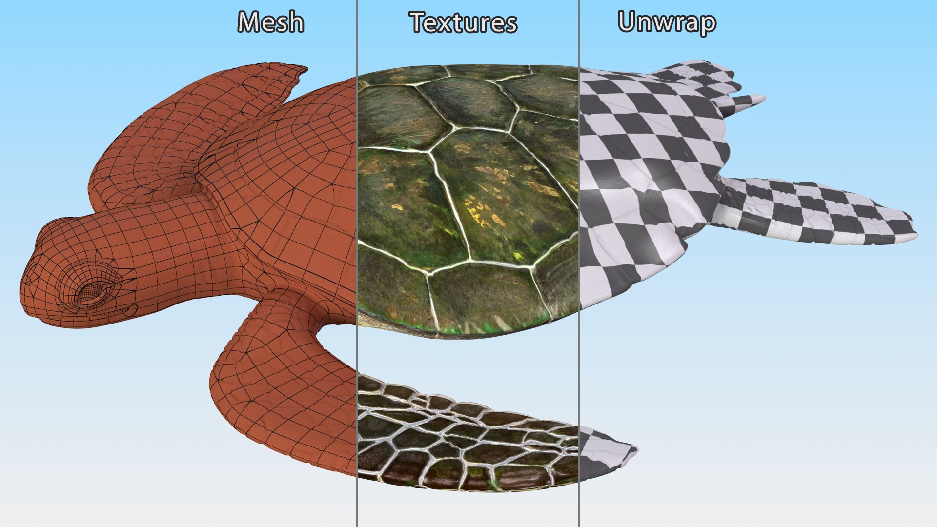Realistic Sea Turtle Rigged for Maya model https://p.turbosquid.com/ts-thumb/2K/aUsuSo/F5/realisticseaturtleriggedformayavray3dmodel021/jpg/1715209752/1920x1080/fit_q87/cd2e66245b64ff8cd97c5291a7d78243f8a4a9ed/realisticseaturtleriggedformayavray3dmodel021.jpg
