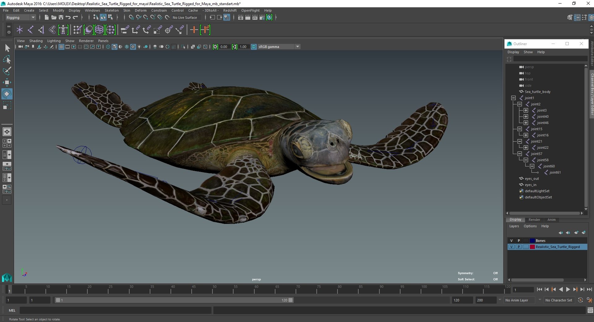 Realistic Sea Turtle Rigged for Maya model https://p.turbosquid.com/ts-thumb/2K/aUsuSo/YP/realisticseaturtleriggedformayavray3dmodel048/jpg/1715209845/1920x1080/fit_q87/9b2eac98275a691d92e2f2e1738692a7302509e1/realisticseaturtleriggedformayavray3dmodel048.jpg