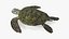 Realistic Sea Turtle Rigged for Maya