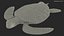 Realistic Sea Turtle Rigged for Maya