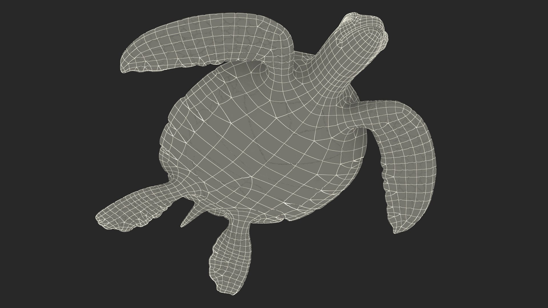 Realistic Sea Turtle Rigged for Maya model https://p.turbosquid.com/ts-thumb/2K/aUsuSo/gz/realisticseaturtleriggedformayavray3dmodel030/jpg/1715209800/1920x1080/fit_q87/4026fdebfd9d257b14b718a801f03ed100f85dbe/realisticseaturtleriggedformayavray3dmodel030.jpg