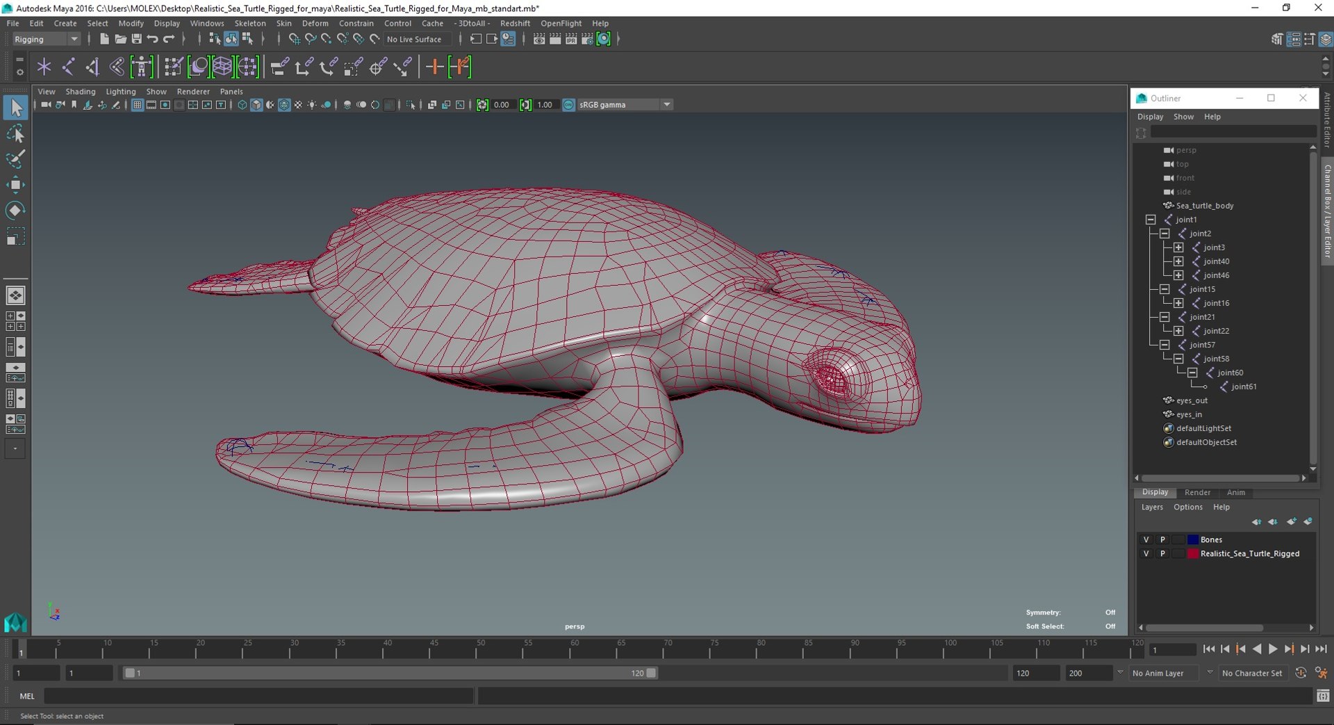 Realistic Sea Turtle Rigged for Maya model https://p.turbosquid.com/ts-thumb/2K/aUsuSo/rQ/realisticseaturtleriggedformayavray3dmodel046/jpg/1715209830/1920x1080/fit_q87/11a63ececf1c59bb7c42d21a86c6ae082957fb52/realisticseaturtleriggedformayavray3dmodel046.jpg