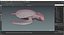 Realistic Sea Turtle Rigged for Maya