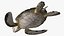 Realistic Sea Turtle Rigged for Maya