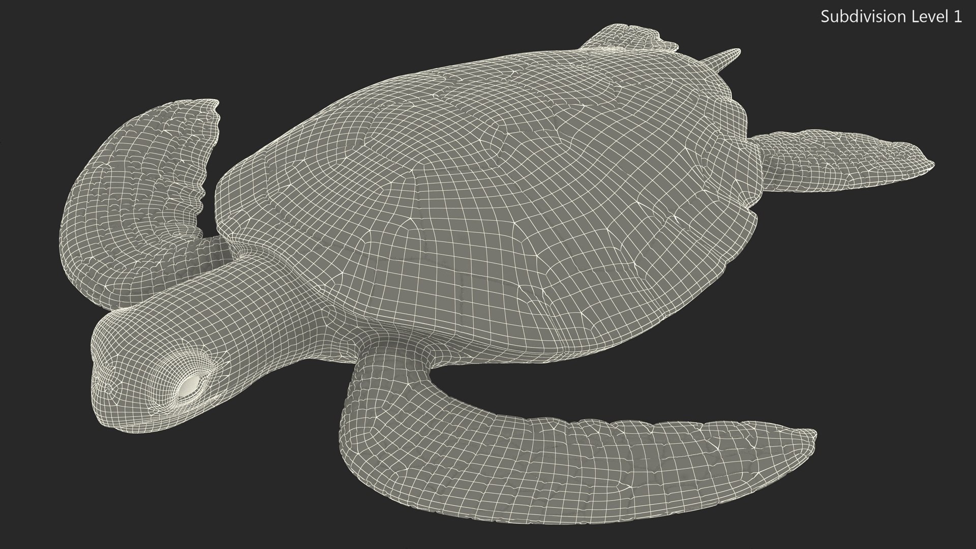 Realistic Sea Turtle Rigged for Maya model https://p.turbosquid.com/ts-thumb/2K/aUsuSo/zL/realisticseaturtleriggedformayavray3dmodel023/jpg/1715209763/1920x1080/fit_q87/eeee6dd930e3dd0fd827efcb26ff118aa6970ebc/realisticseaturtleriggedformayavray3dmodel023.jpg