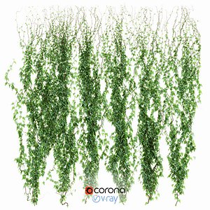 Green Ivy Plant. 6 models of leaf ivy wall