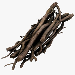 Logs PBR