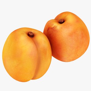 apricot ready 3D model