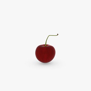 Cherry Fruit v001