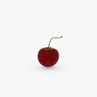 Cherry Fruit v001