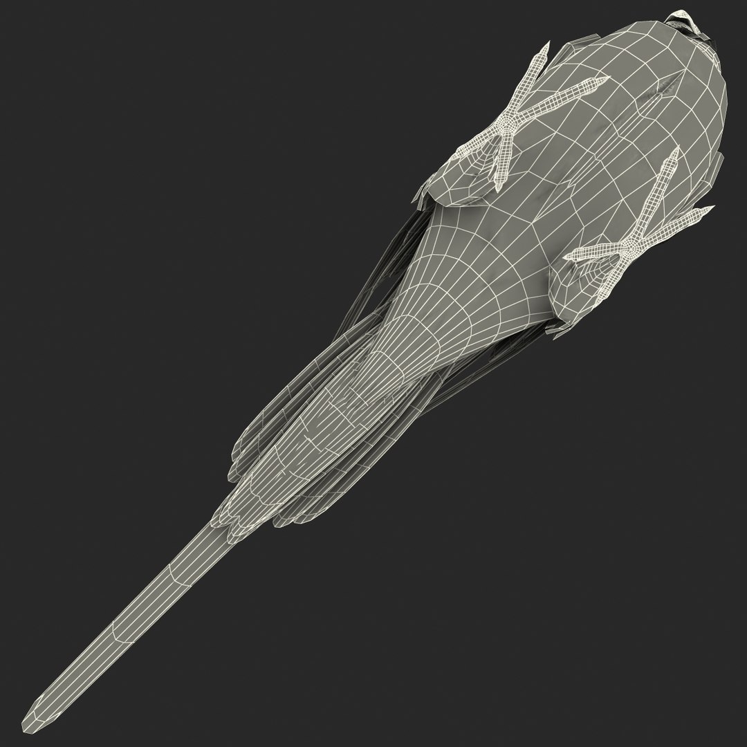 budgerigar pose 1 3d c4d https://p.turbosquid.com/ts-thumb/2L/6NnKC1/cuMind37/budgerigarpose1_11/jpg/1417538891/1920x1080/fit_q87/c2e73c7cd432184e8677235d41c2ce81814d3079/budgerigarpose1_11.jpg