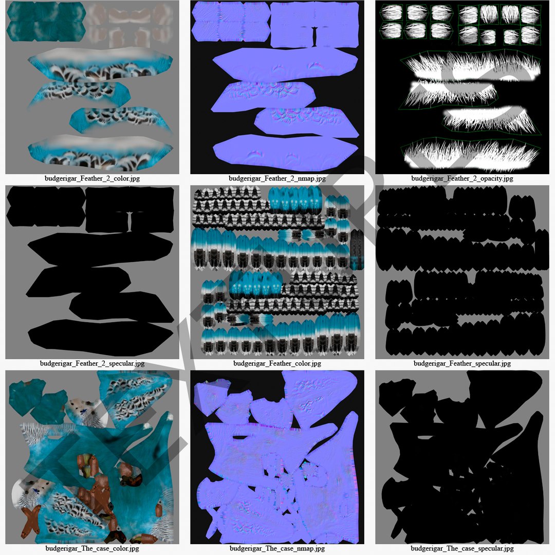 budgerigar pose 1 3d c4d https://p.turbosquid.com/ts-thumb/2L/6NnKC1/jKfrYF9C/budgerigarpose1_6/jpg/1417538884/1920x1080/fit_q87/8359abff083998e85b8c4a8644ca27eae9bdb427/budgerigarpose1_6.jpg