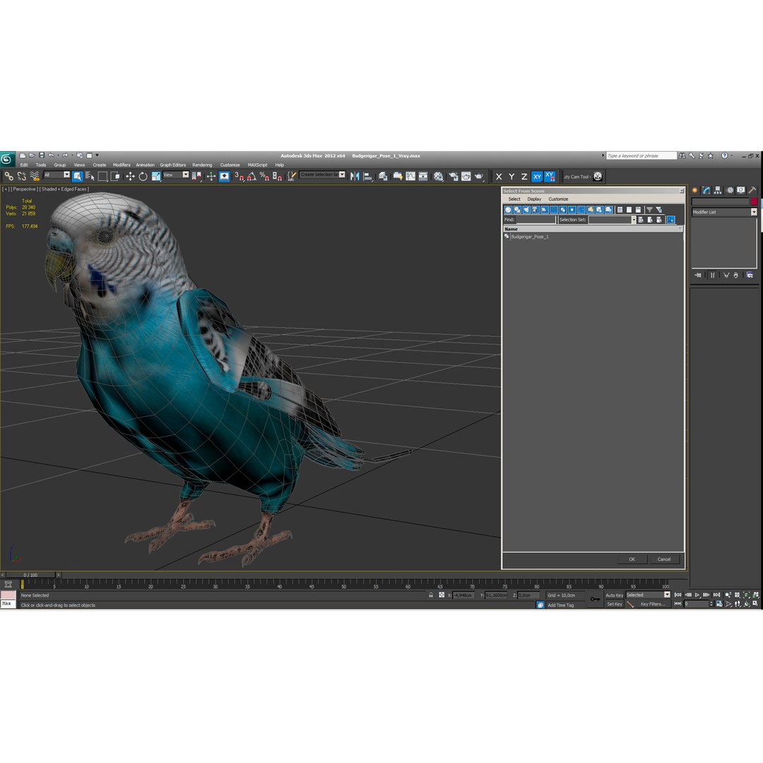 budgerigar pose 1 3d c4d https://p.turbosquid.com/ts-thumb/2L/6NnKC1/sOK3wgwl/budgerigarpose1_3/jpg/1417538880/1920x1080/fit_q87/a38afb7b0e545cd959190db8b73bb76518a2bc48/budgerigarpose1_3.jpg