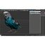Budgerigar Pose 1