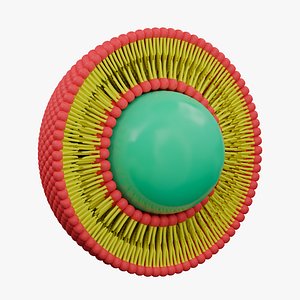 Liposome