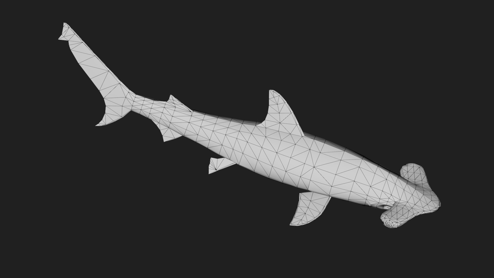 Hammerhead 3D - TurboSquid 2121549