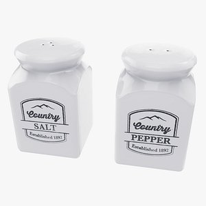 Ceramic Salt and Pepper