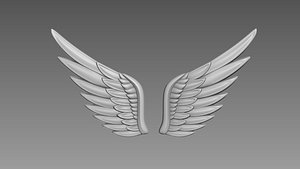 3D model Wings relief