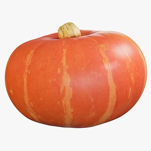 3D realistic pumpkin small 1