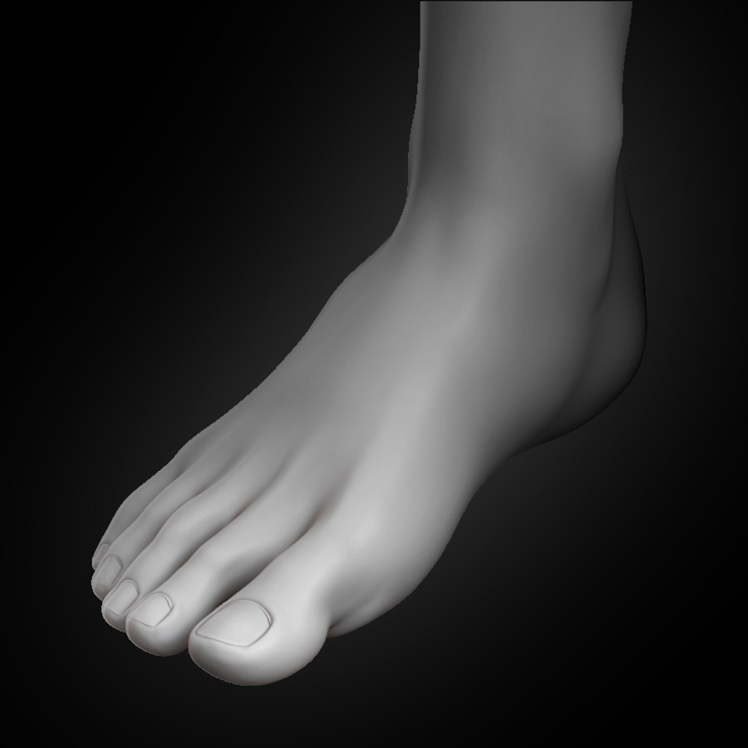 Human Foot 2020 3D Model - TurboSquid 1538641