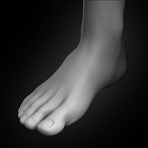 human foot 2020 3D model