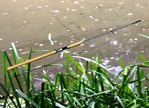 Fishing Rod