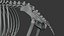 BearSkeleton 3D model