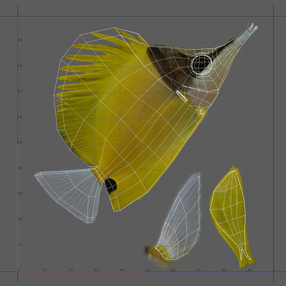 Fish Pack 21 - Coral Bay model https://p.turbosquid.com/ts-thumb/2L/tBDoZv/6s/uv/jpg/1682966136/1920x1080/fit_q87/bafdb6fa9eec7df710da2764d5f38d5bc138fb10/uv.jpg