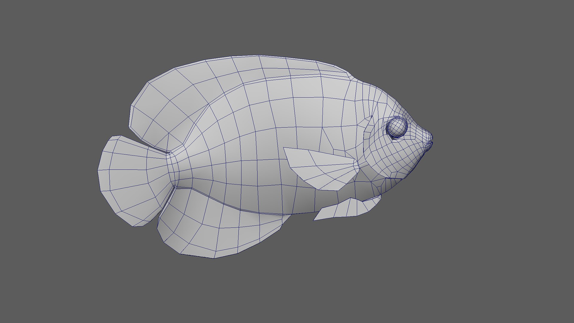 Fish Pack 21 - Coral Bay model https://p.turbosquid.com/ts-thumb/2L/tBDoZv/Ls/wireframe_19/jpg/1694690343/1920x1080/fit_q87/19db1a5c5d04f857ba9b60242c904c4e459286ff/wireframe_19.jpg