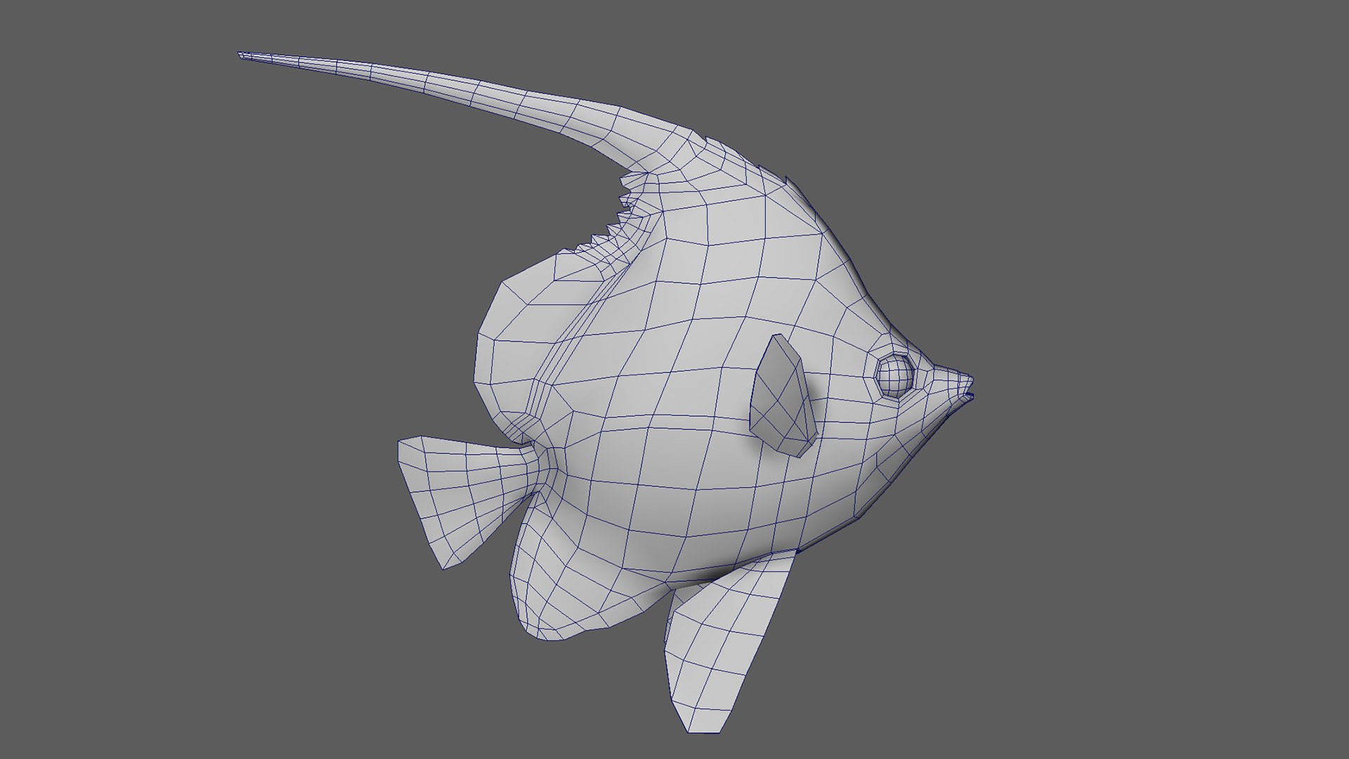 Fish Pack 21 - Coral Bay Model - TurboSquid 2065507