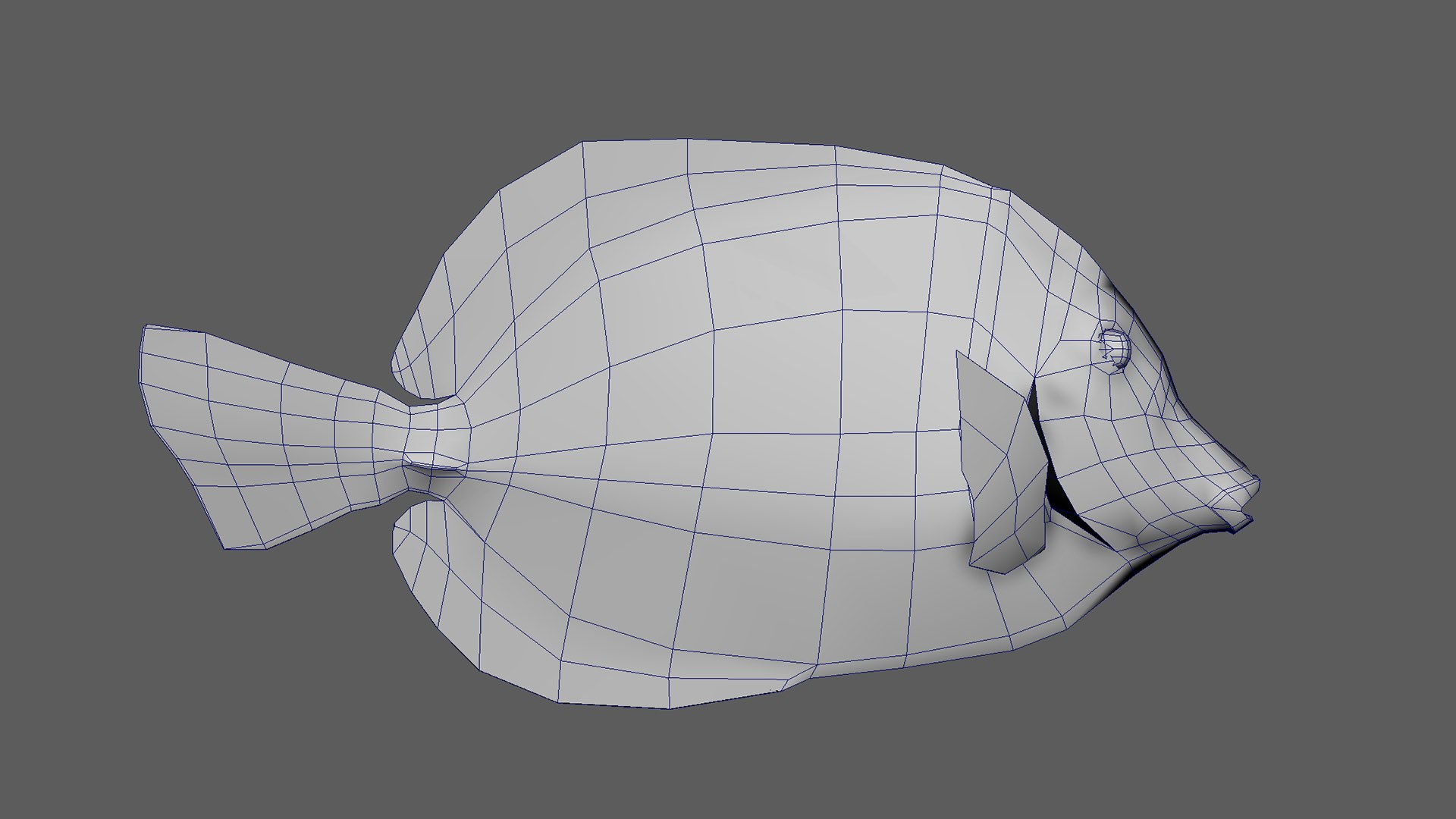 Fish Pack 21 - Coral Bay Model - TurboSquid 2065507