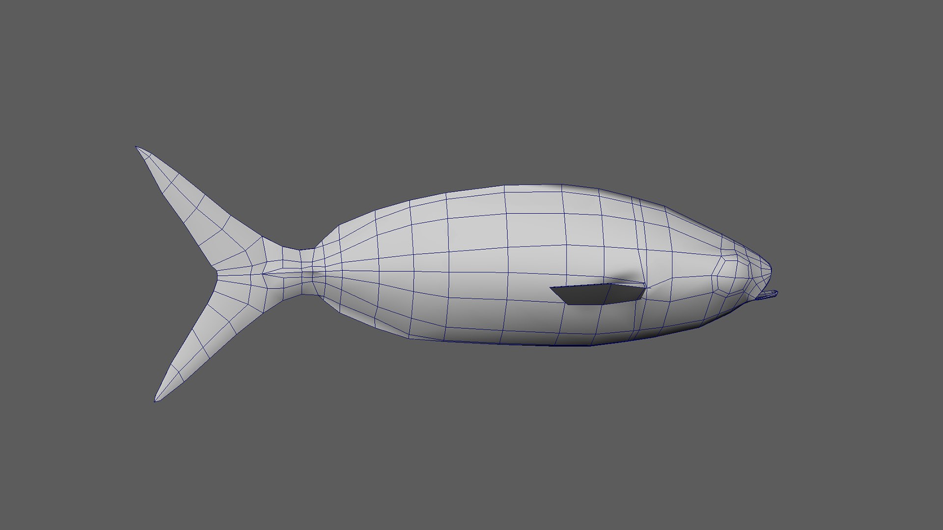 Fish Pack 21 - Coral Bay Model - TurboSquid 2065507
