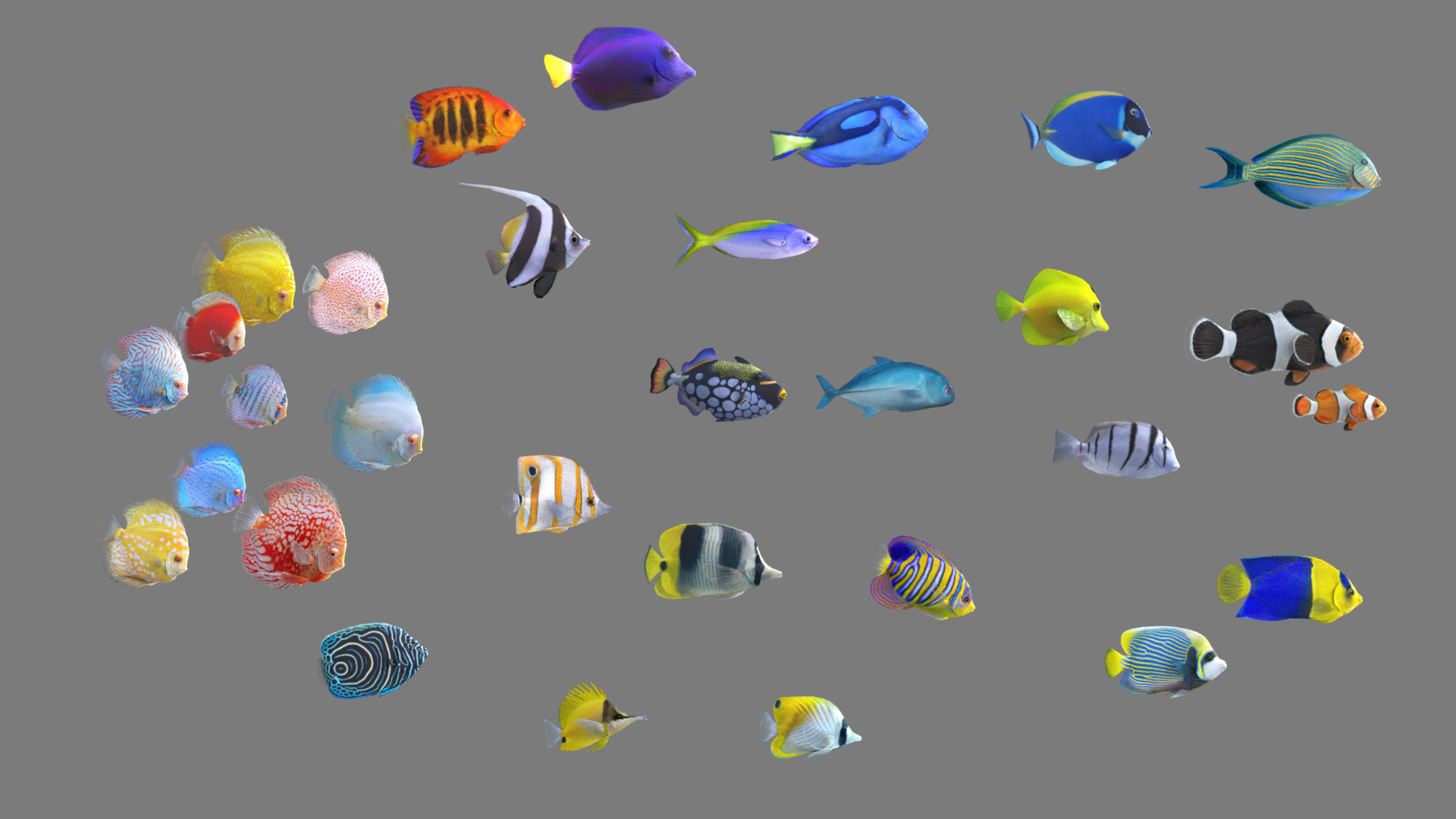 Fish Pack 21 - Coral Bay model https://p.turbosquid.com/ts-thumb/2L/tBDoZv/Wq/fishpack30arnold/jpg/1694774042/1920x1080/turn_fit_q99/4569fcf5f64f8c618a2ea36cb4ec593efd0eb87f/fishpack30arnold-1.jpg