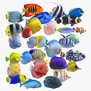 Fish Pack 30 - Animated